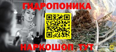 индика Старая Купавна